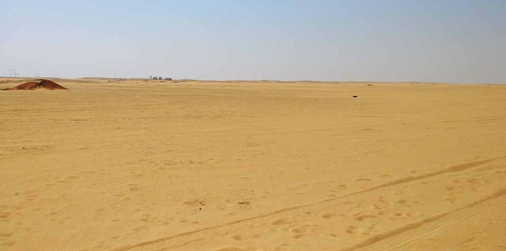 1584674918860635.jpg 3.jpg