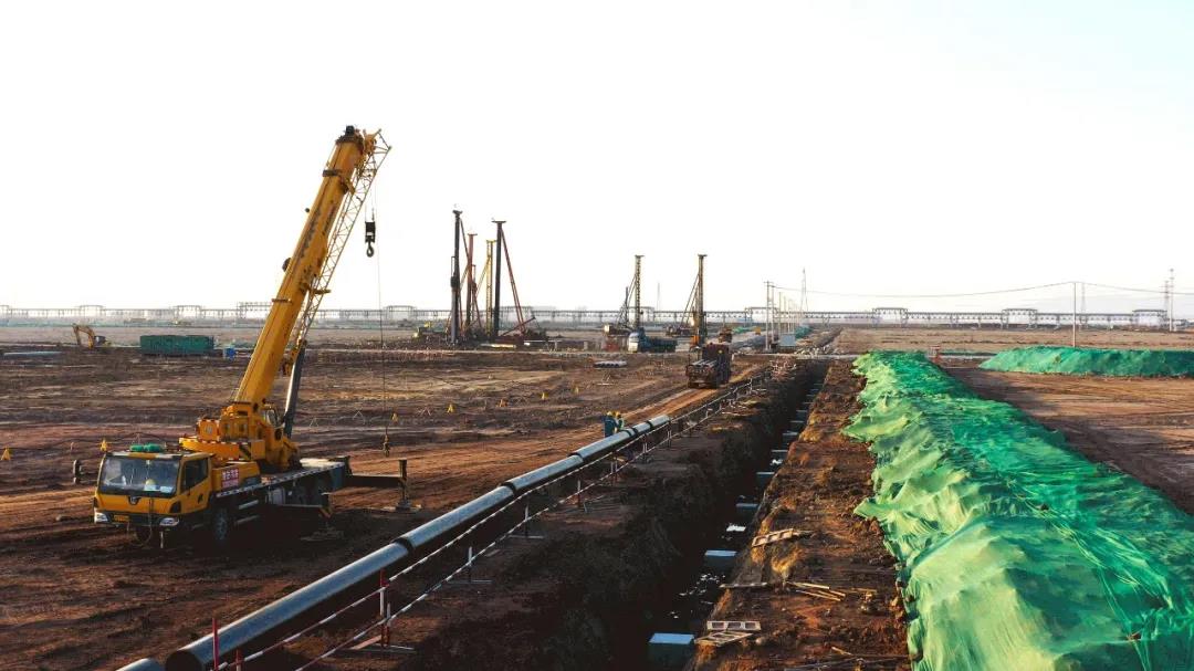 1585555723283966.jpg 22.jpg