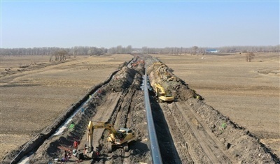 1587100033135270.jpg 7.jpg