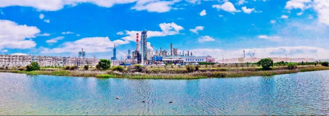 1588058602906636.jpg 1588058602906636.jpg