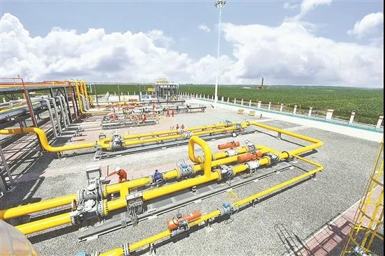 1594774235612772.jpg 7.jpg