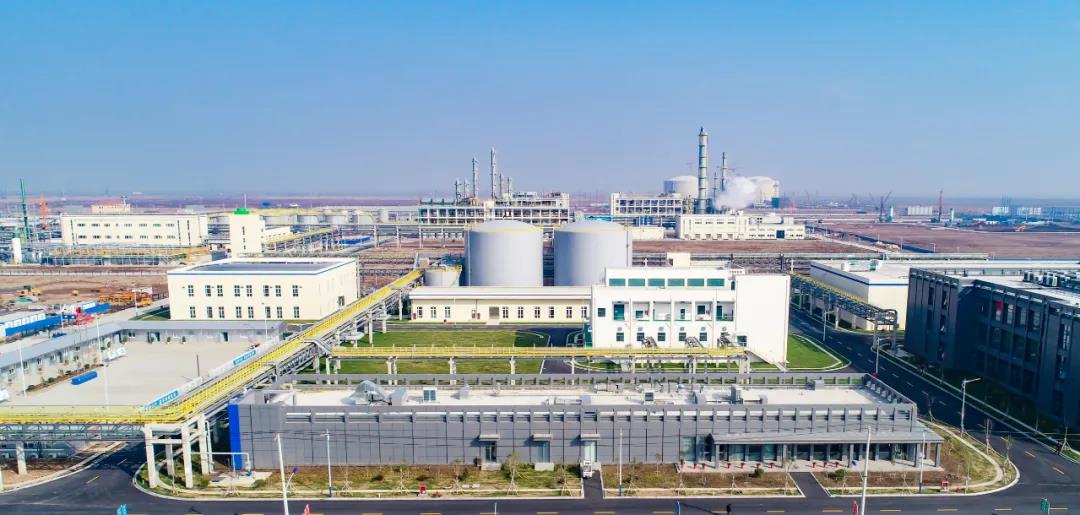 ҵٿ2020л᣺ᶨ ȫԸȫ꾭ӪĿ