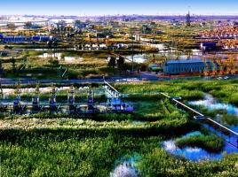 ״ΣɺӽԳͲشģʵʩ