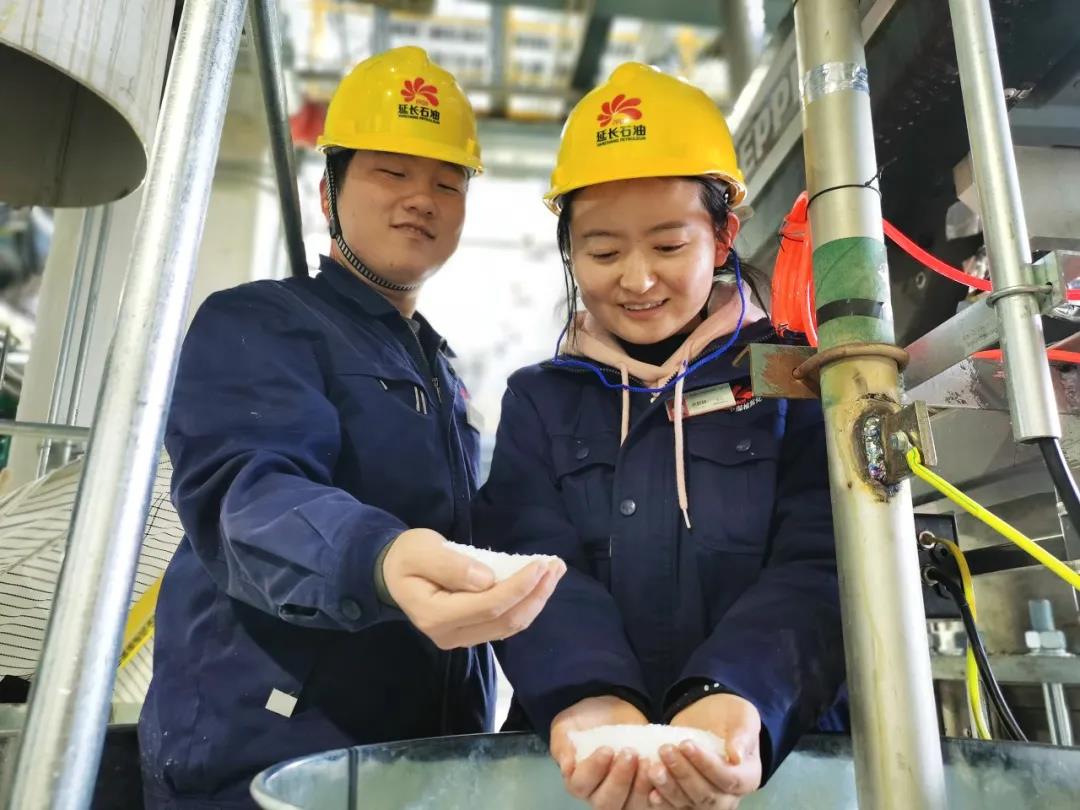 ܻƽ빤LDPE/EVAװüѹϵͳԳɹ