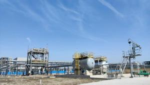 صзƻ̼ϩϳҶ״¼ͨԿ˺ʮֹհ