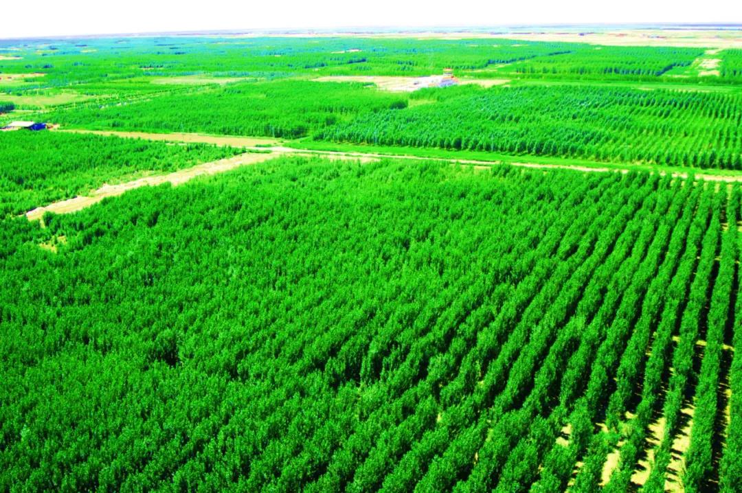 Ȼռȳ50%йʯṹ仯ζʲô