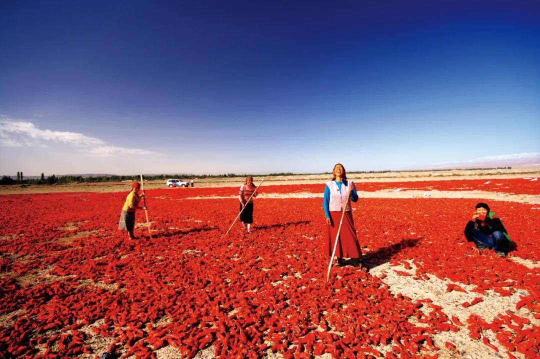 Ȼռȳ50%йʯṹ仯ζʲô