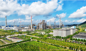 Ȼռȳ50%йʯṹ仯ζʲô