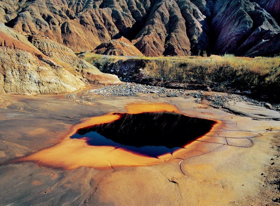 INTLEF智能石油装备制造新疆项目启动 INTLEF智能石油装备制造新疆项目启动