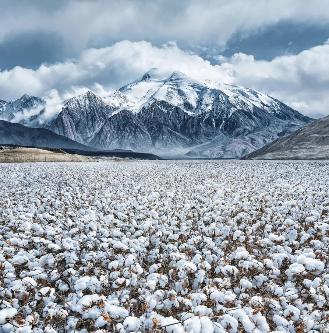 INTLEF智能石油装备制造新疆项目启动 INTLEF智能石油装备制造新疆项目启动
