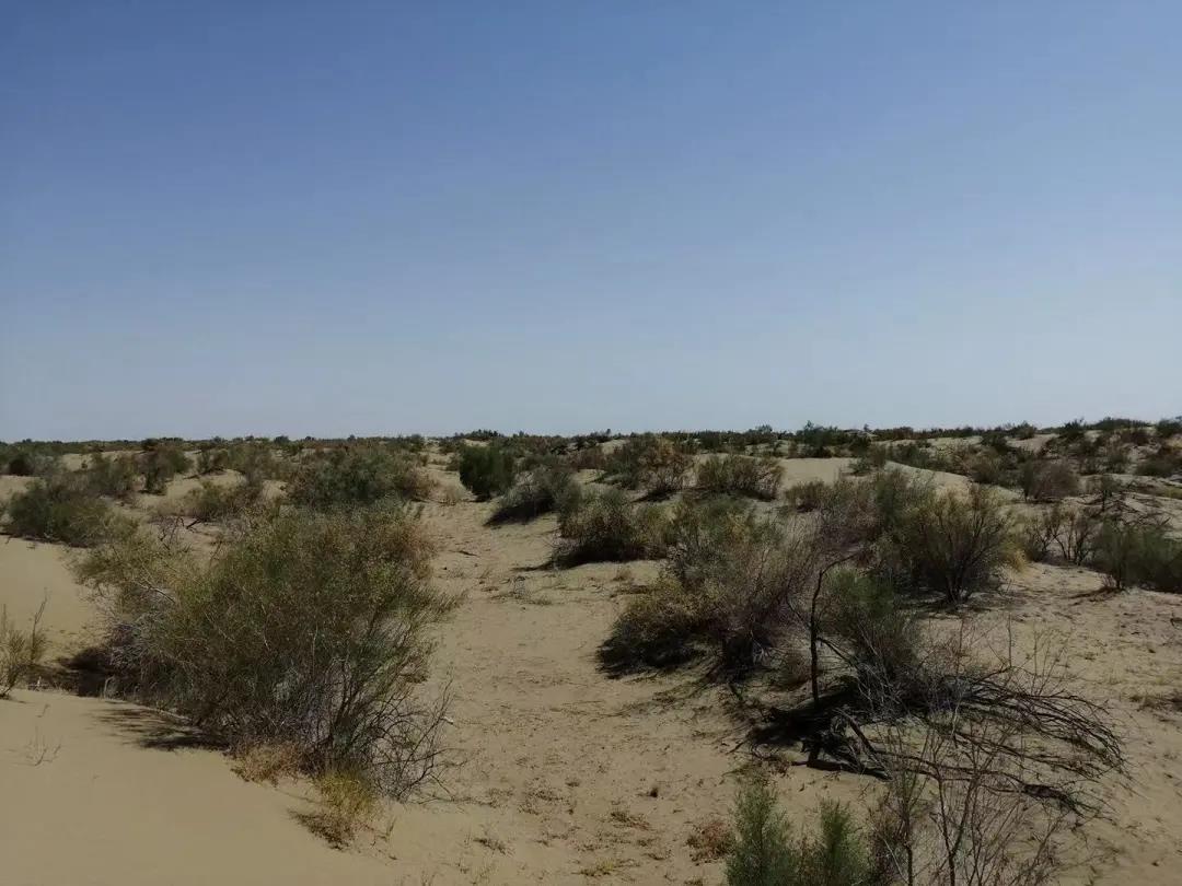 ת µ  һح湤EPCCĿʽǩԼ