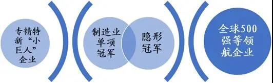 “专精特新”小巨人、制造业单项冠军、隐形冠军比较研究 “专精特新”小巨人、制造业单项冠军、隐形冠军比较研究