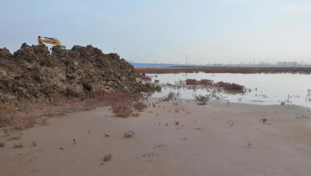 “这是一座用技术支撑起来的火炬塔架” “这是一座用技术支撑起来的火炬塔架”