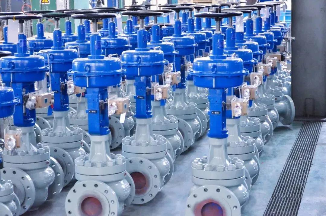 ֮֮ | һ֤пؼ10µĸʱ̣