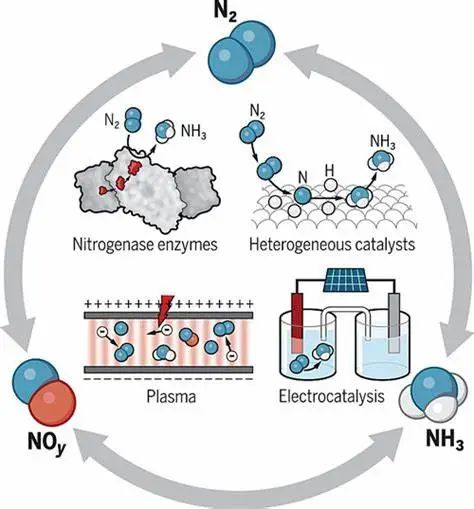 全球氢能热潮下,美国为何不重视氢能? 全球氢能热潮下,美国为何不重视氢能?