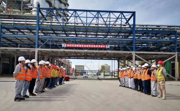 úֻѧ180/Ҷһϵ˳н