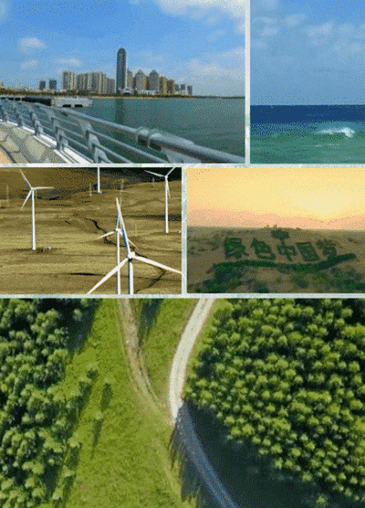 ¡Դ¹ľ˫̼Ŀ꣬ת͵Ҫٴ