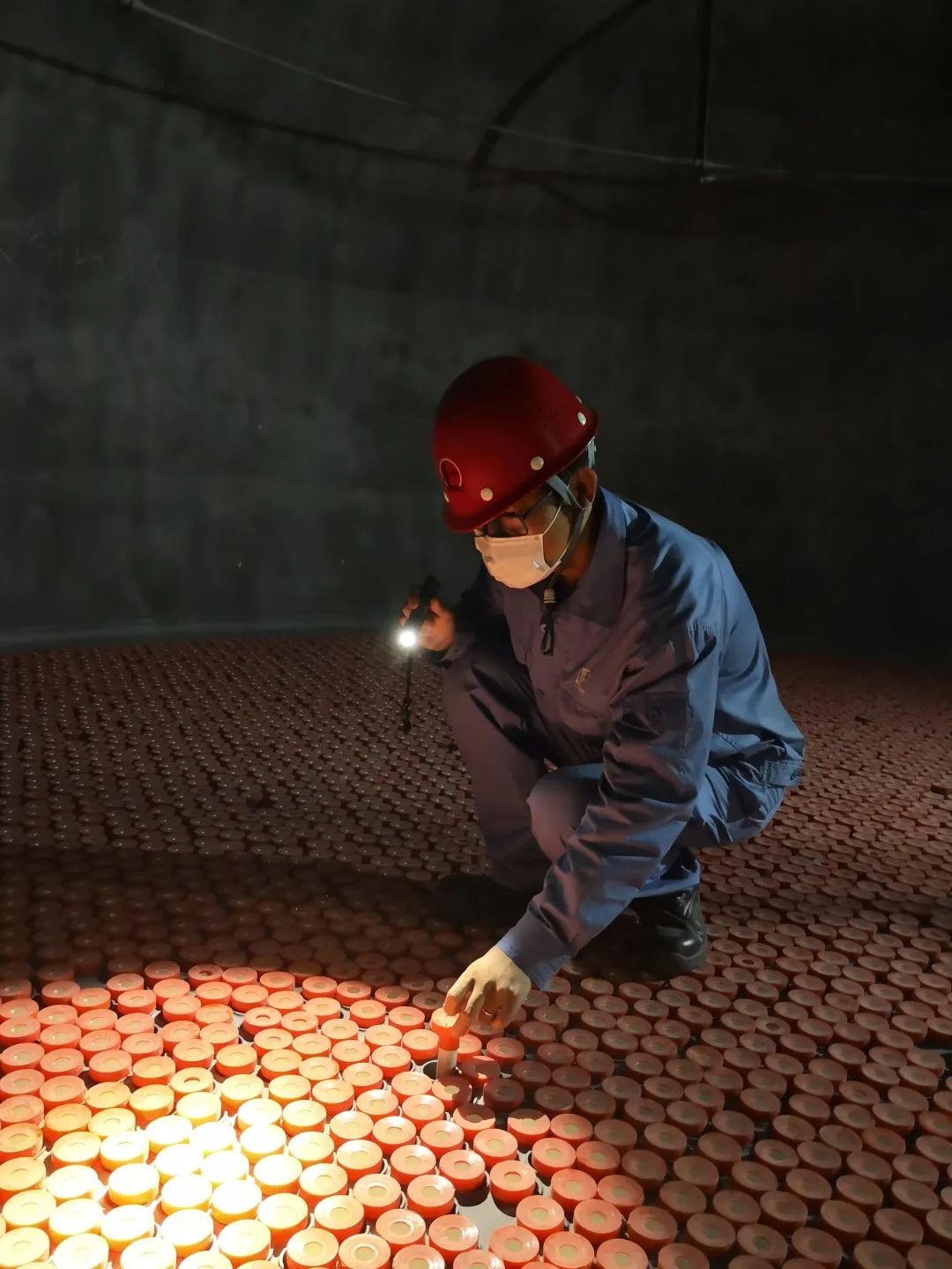 没有先例,我们就开先例! 没有先例,我们就开先例!