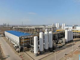 йѧ廷˾н׻úҶĿɹ