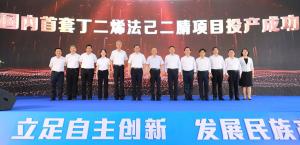 ӪտɳԪҹ׸ϩ湤ҵĿͶ