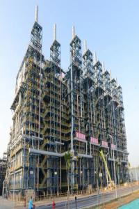 㶫ʯɭڡǻѧʯȹڴϩĿ¶̬