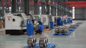 ̩ʯչ˹Ⱥг2024궩Ԥͻ5Ԫ