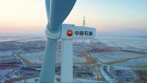 ʲɹԲ2024Դ׼б깤~