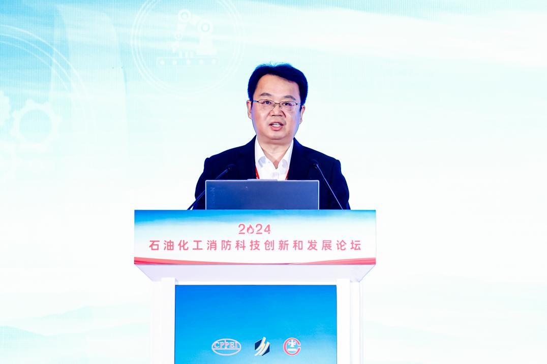 2024ʯͻƼºͷչ̳Ļ