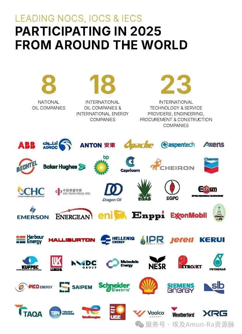 参展EGYPES 2025的公司和组织完整名单:可持续能源未来的先驱 参展EGYPES 2025的公司和组织完整名单:可持续能源未来的先驱