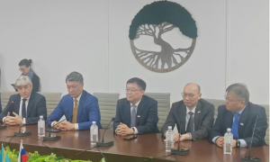 ̼ǩԼ˹̹SILLENOϩĿ